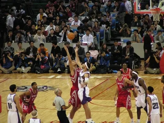 瑞典前锋 瑞典前锋